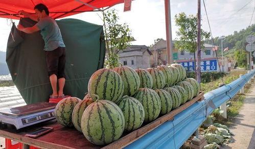 西昌吃瓜事件网红,网红引发的网络狂欢与反思 第1张 西昌吃瓜事件网红,网红引发的网络狂欢与反思 第1张